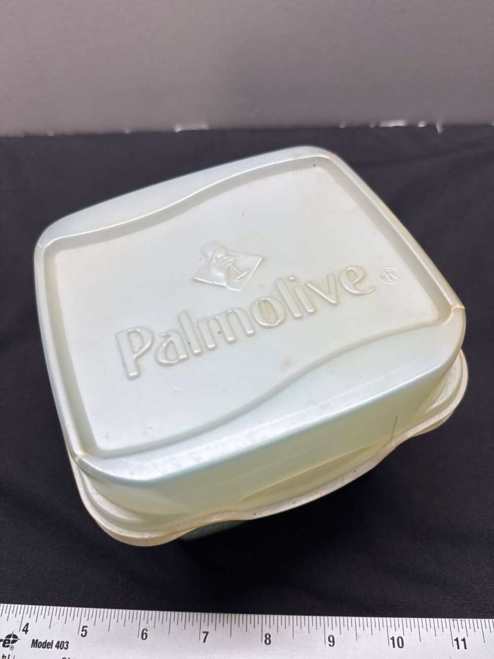 Palmolive Disposable Pretreated Dish Wipes Plastic Storage Container 13 Count